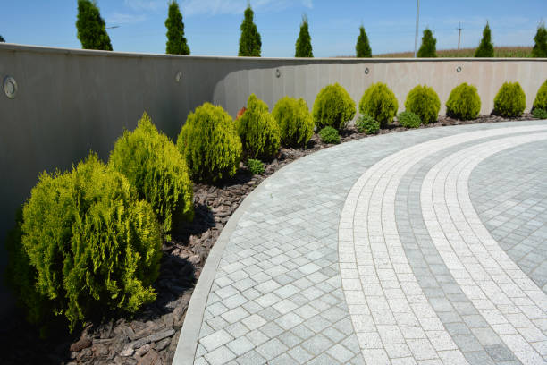 Best Custom Driveway Pavers  in New Windsor, MD